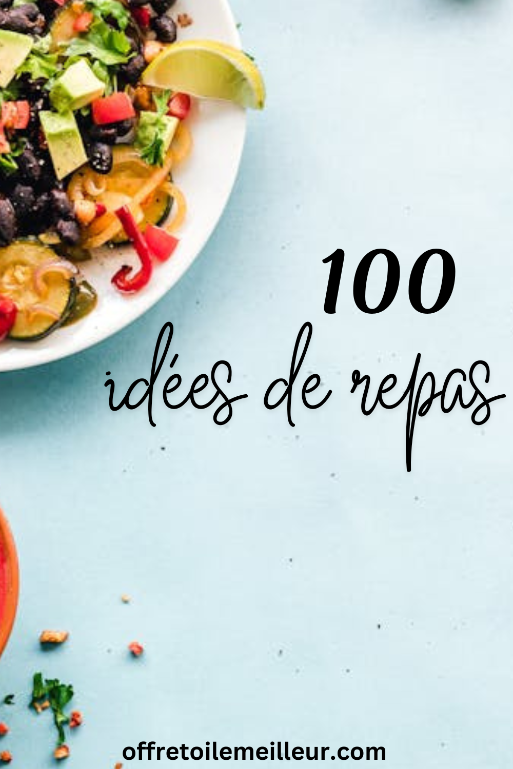 marre-de-faire-a-manger-idees-repas-100